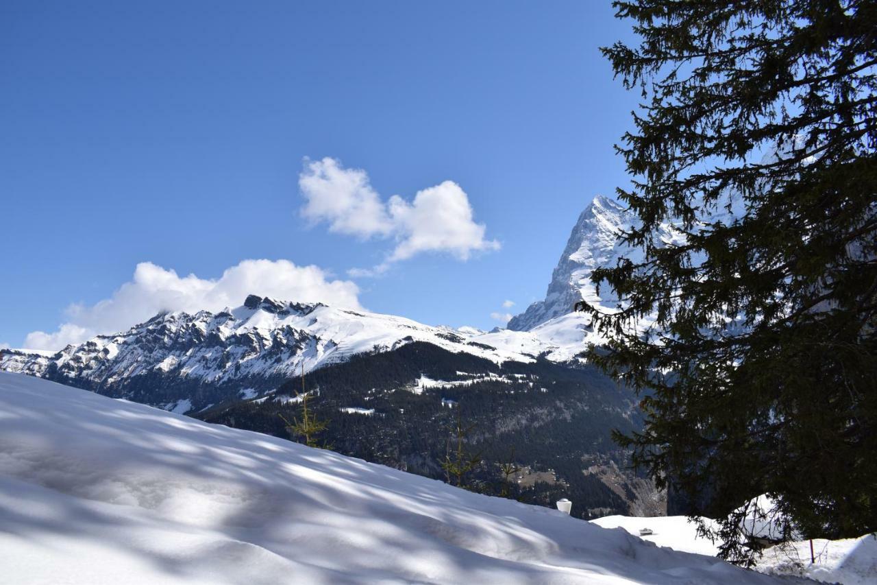 Sportlodge Mürren Exterior foto